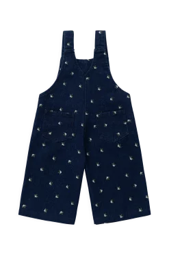 Dorian Overall - Lisa Indigo