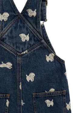 Fenix Short Overall - Finnegan Denim