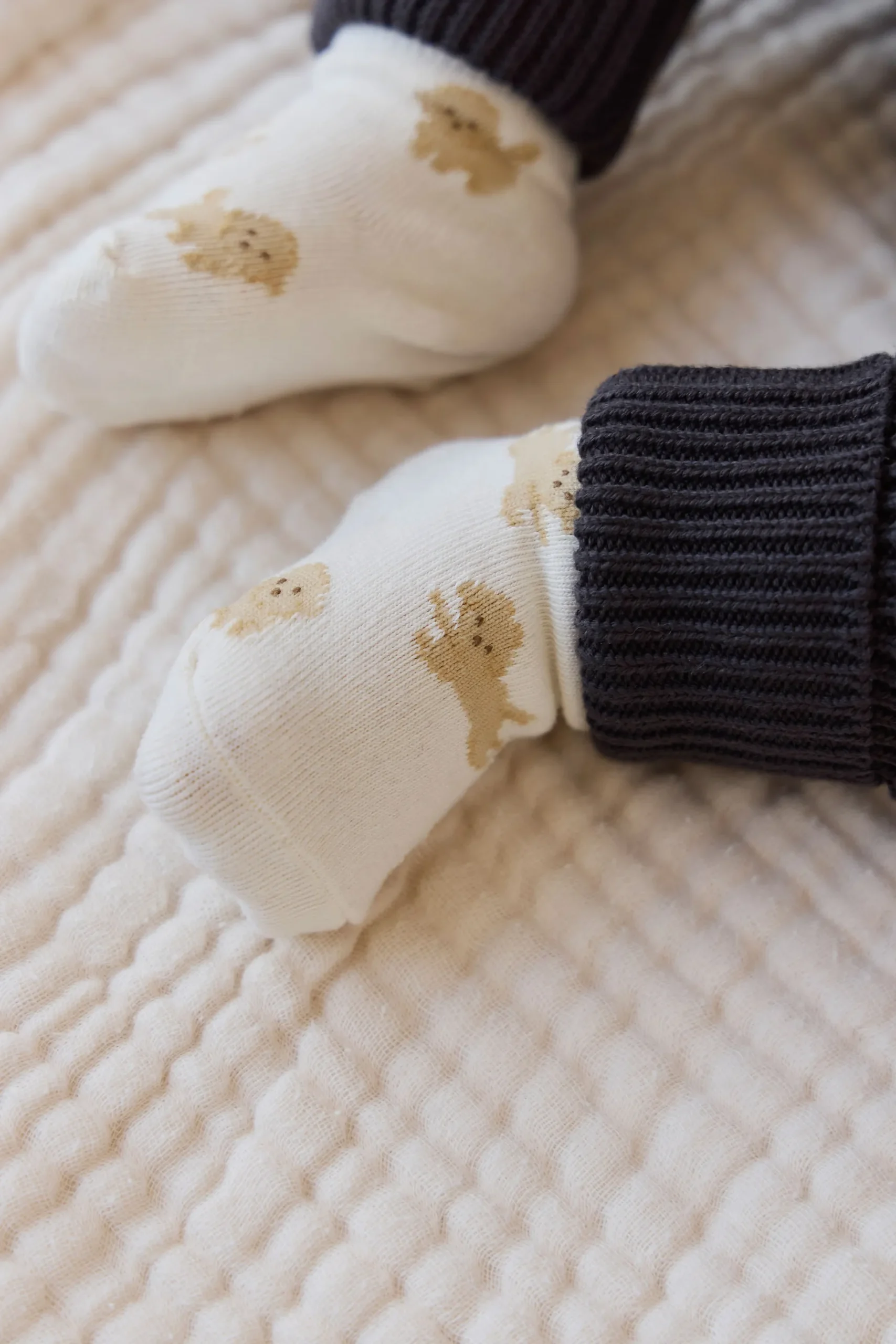 Milo Socks - Milo Pristine