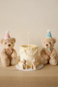 Snuggle Bunnies - Birthday Arthur - Fairy